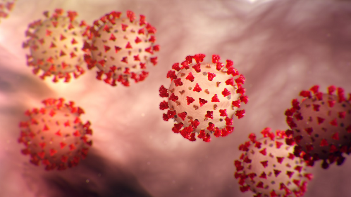 Coronavirus